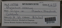 Image Associated With the Occurence